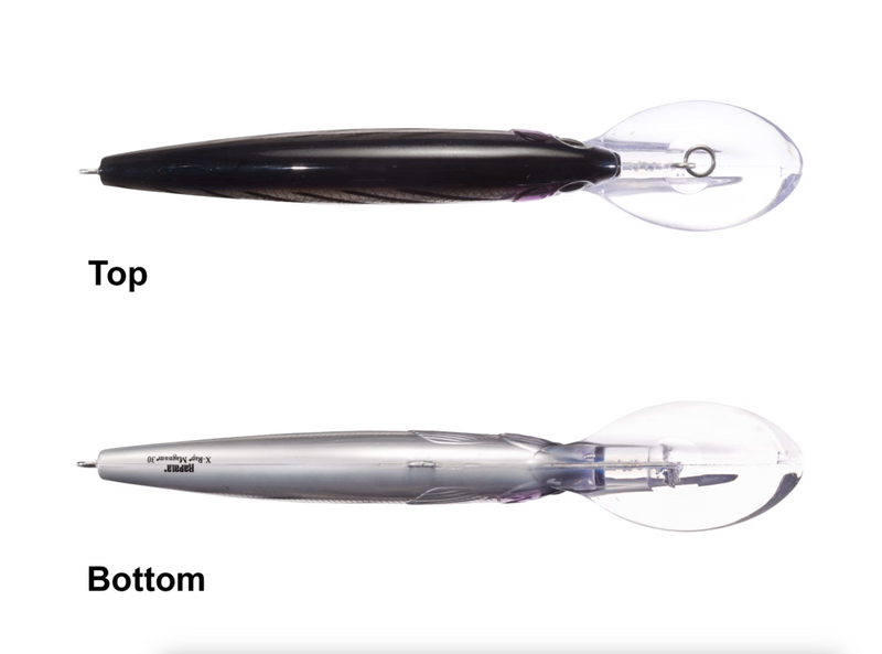 Load image into Gallery viewer, Rapala X-Rap Magnum 15 - HD Squid [XRMAG15HDSQ]
